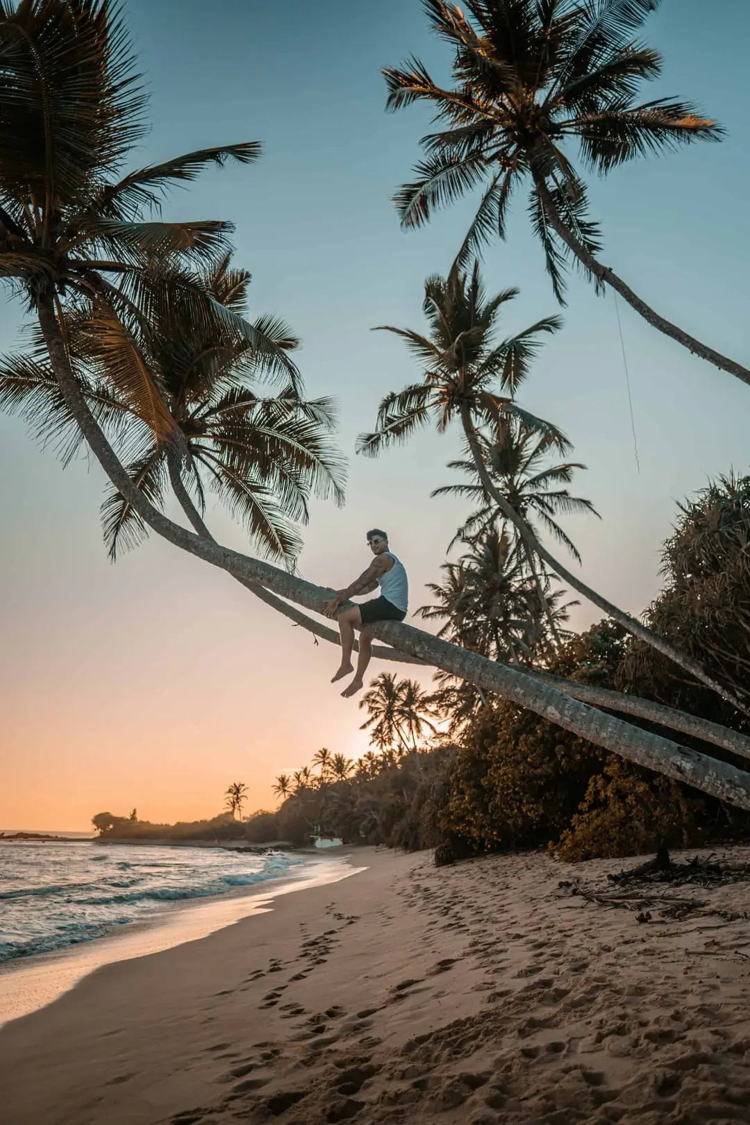 guy enjoying beach on top of palm tree in sri lanka
